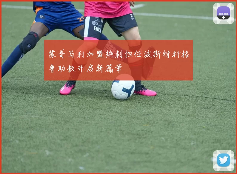 蒙哥马利加盟热刺担任波斯特科格鲁助教开启新篇章